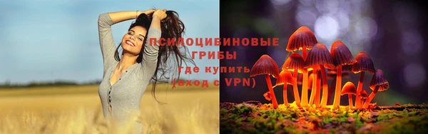a pvp Сосновоборск